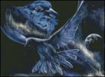 (image for) Blue Doves